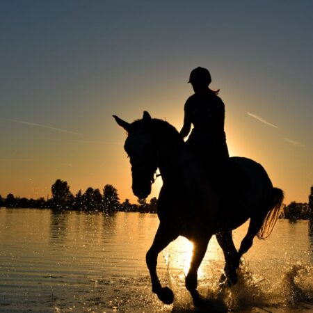 silhouette of person riding horse on body of water under yellow sunset