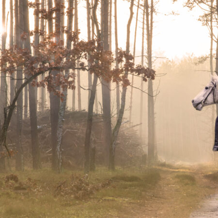 Spring Break Horse Camp
