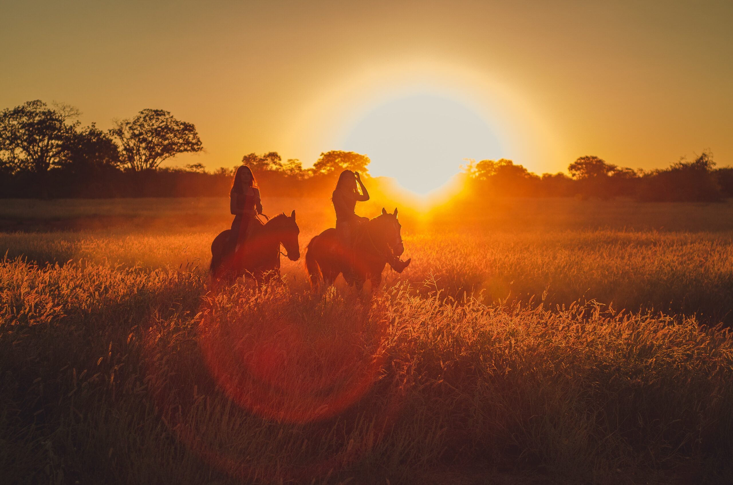 Private Group Trail Ride