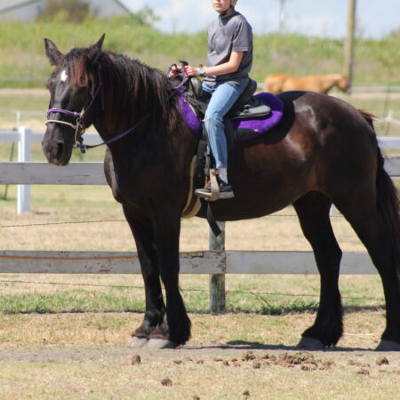 Riding Lessons - ages 6-18