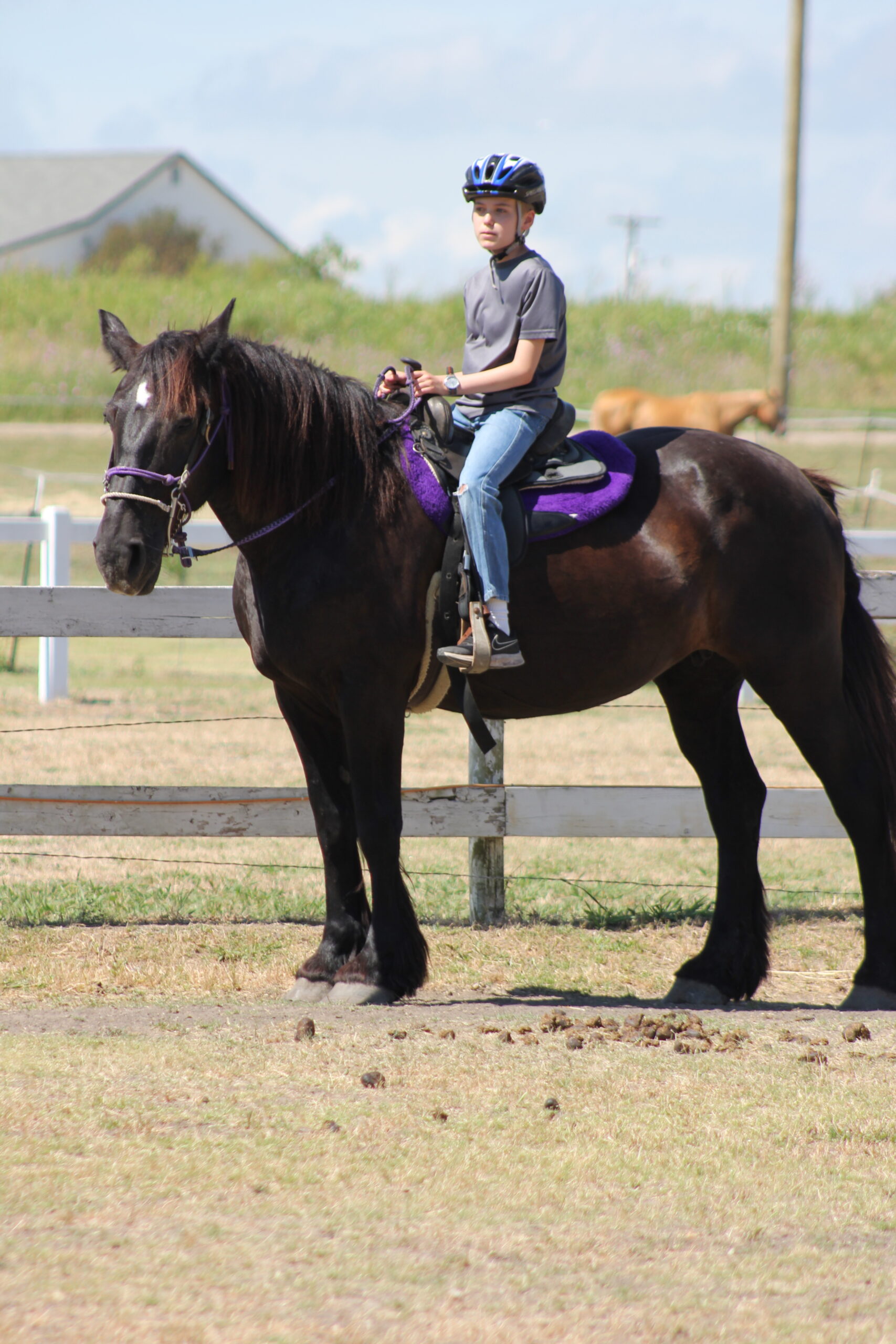 Riding Lessons - ages 6-18