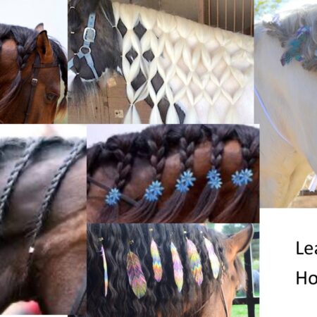 Learn to Braid Horse Manes!!!