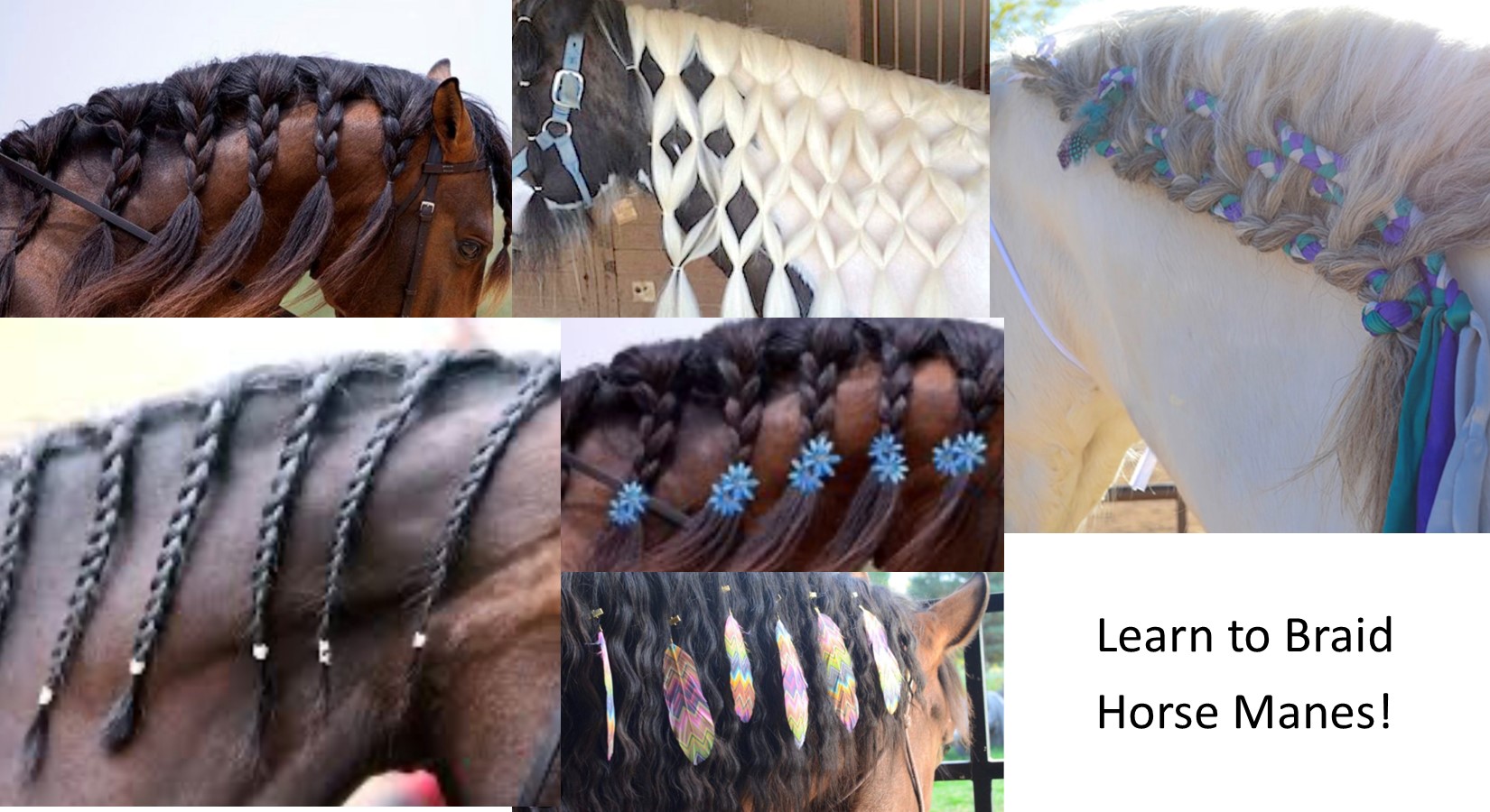 Learn to Braid Horse Manes!!!