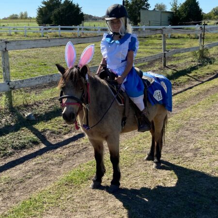 Costume Horse Show