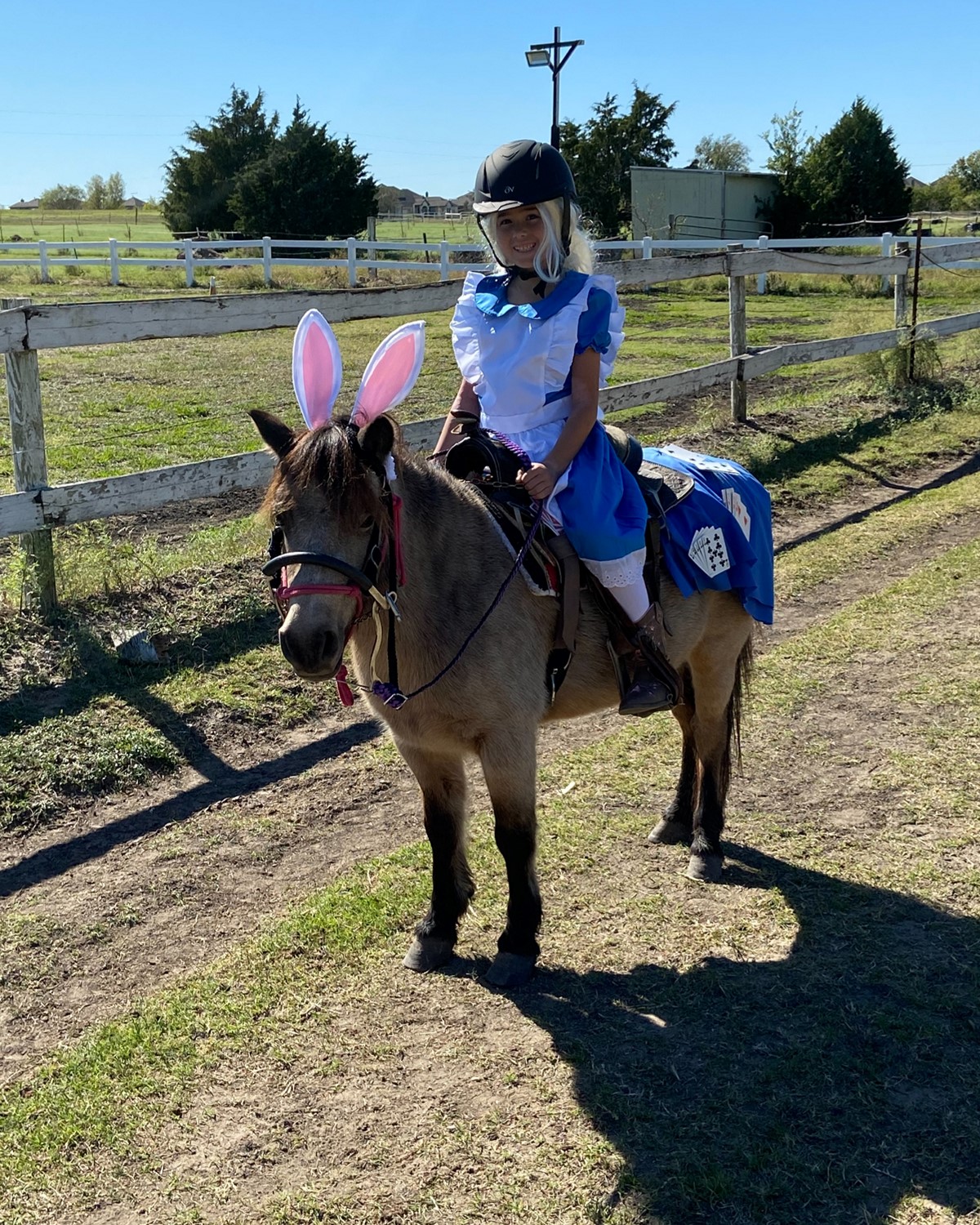 Costume Horse Show