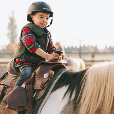 Hand-Led Horse Add-on