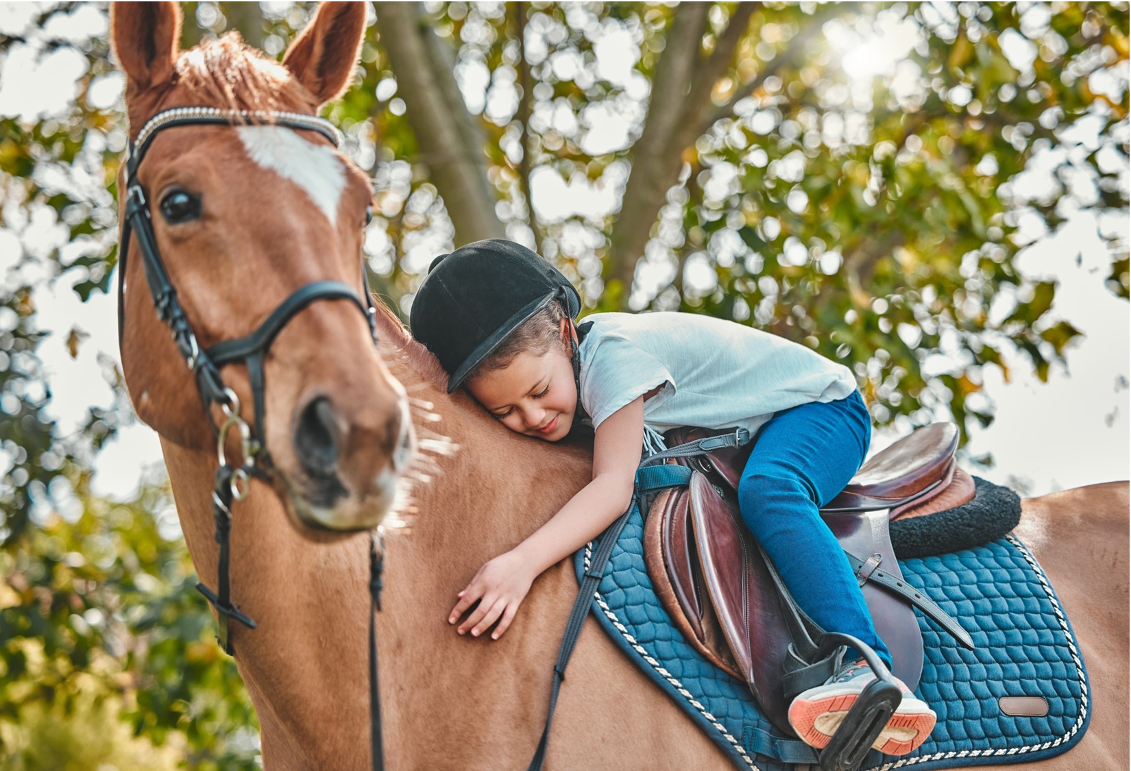 Try-it-Out Horse Riding Lessons