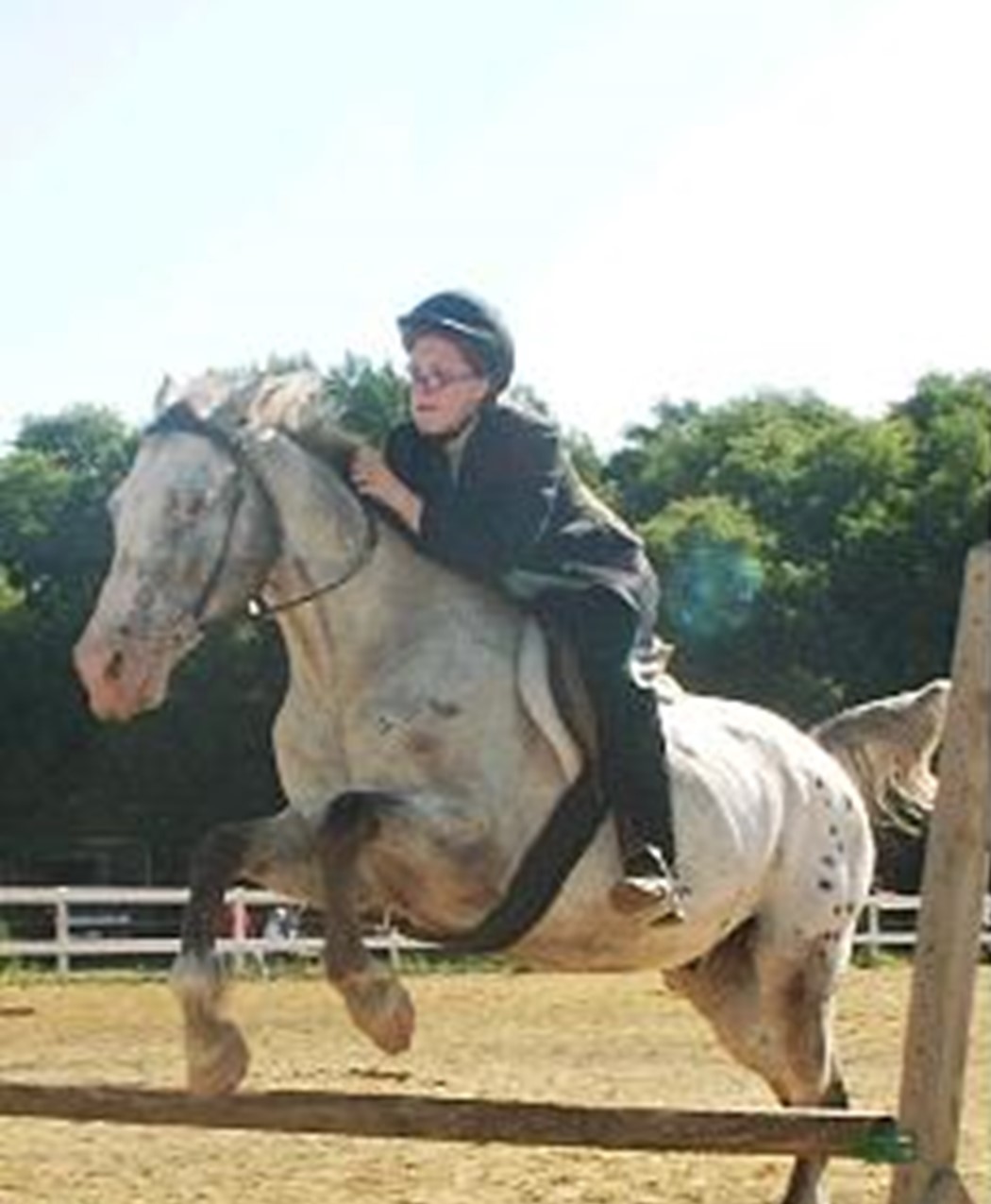 Jumping Lessons